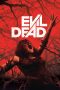 Evil Dead (2013) Evil Dead (2013)