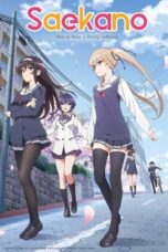 Saenai Heroine no Sodatekata (Saekano: How to Raise a Boring Girlfriend) (2015)