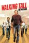 Walking Tall: The Payback (2007) Walking Tall: The Payback (2007)