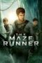 Nonton Film The Maze Runner (2014) Nonton Film The Maze Runner (2014)