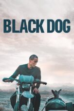 Black Dog (2024) Black Dog (2024)