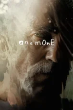 Anemone (2025) Anemone (2025)