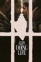 Doing Life (2026) Doing Life (2026)